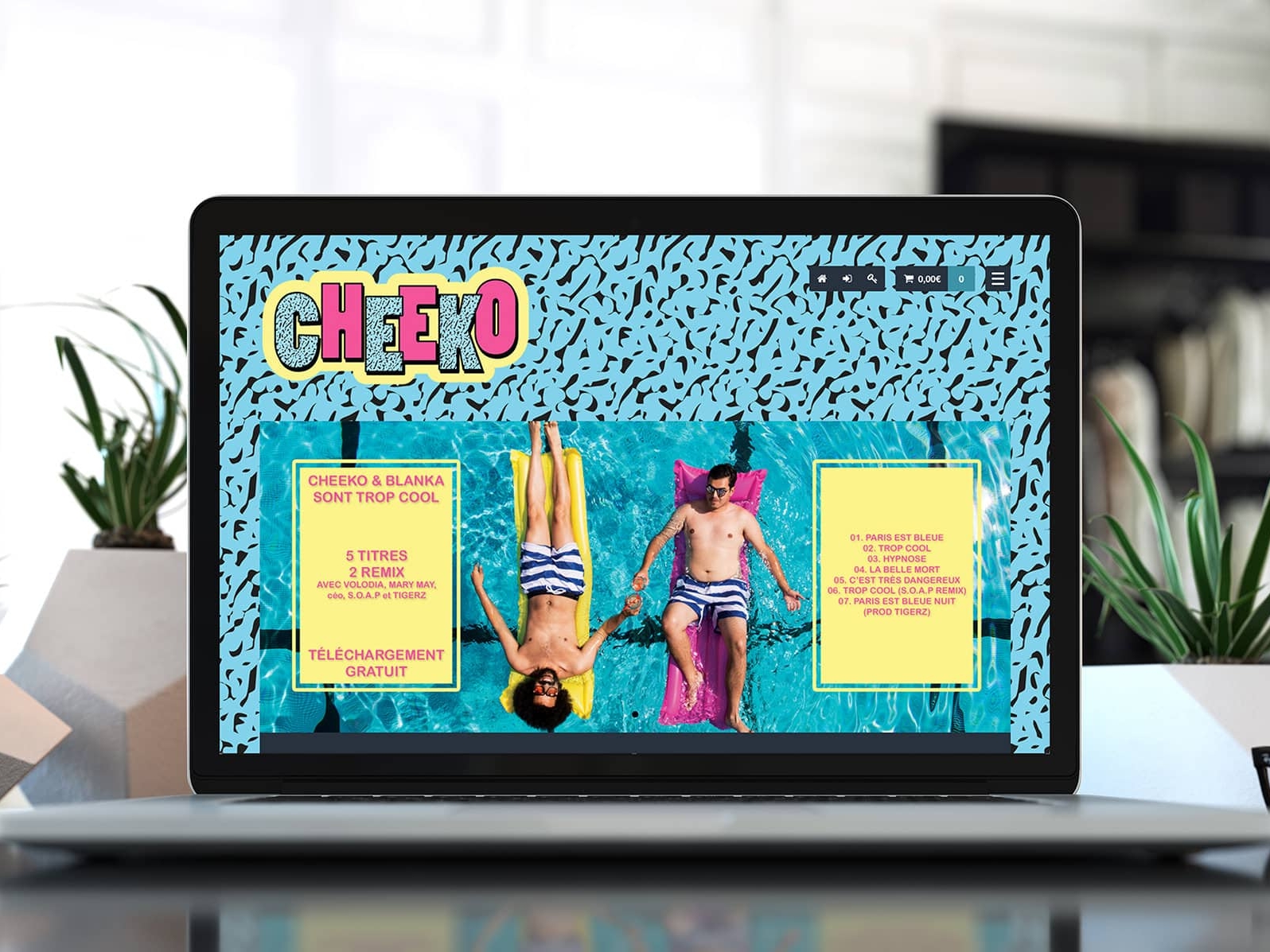 Création du site internet 3615 Cheeko