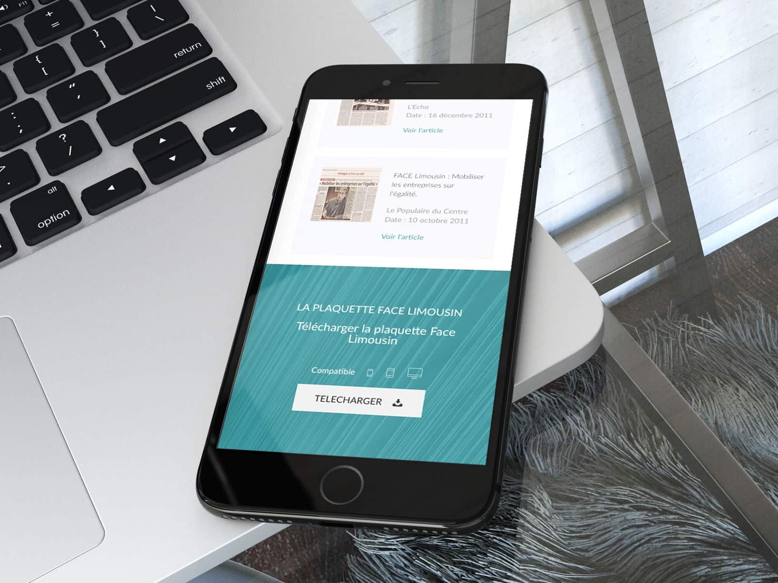 Création du site internet Face Limousin