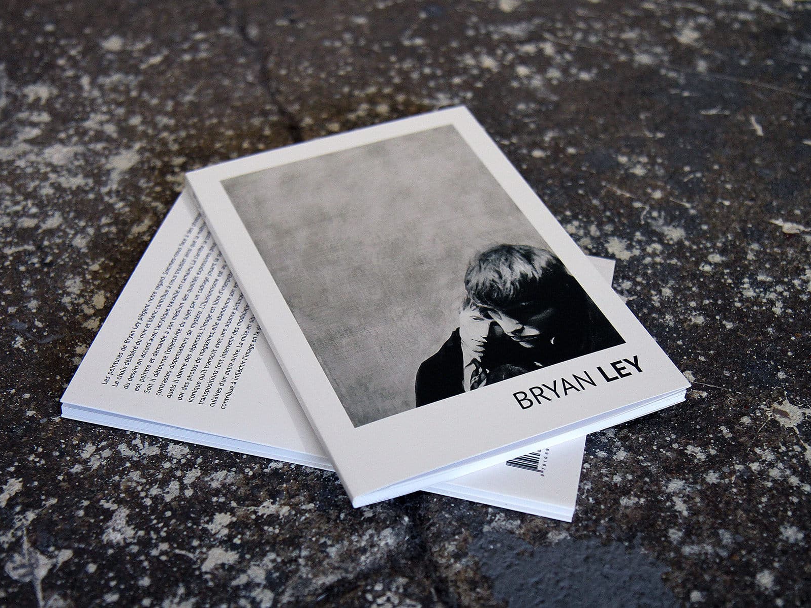 Conception d’un livre 48 pages par l'agence Bad Monkey pour Bryan Ley.