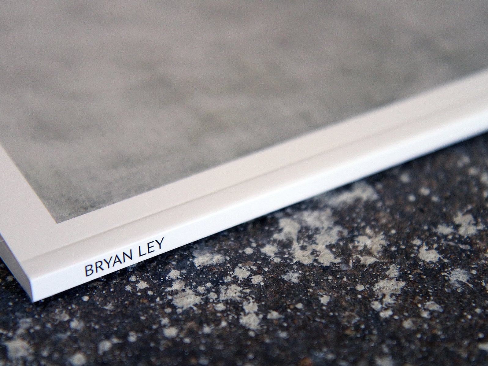 Conception d’un livre 48 pages par l'agence Bad Monkey pour Bryan Ley.