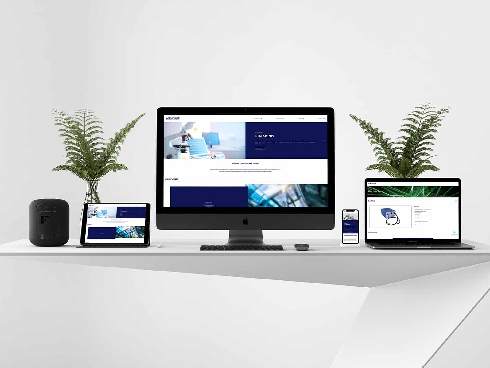 Création du site internet Leukos