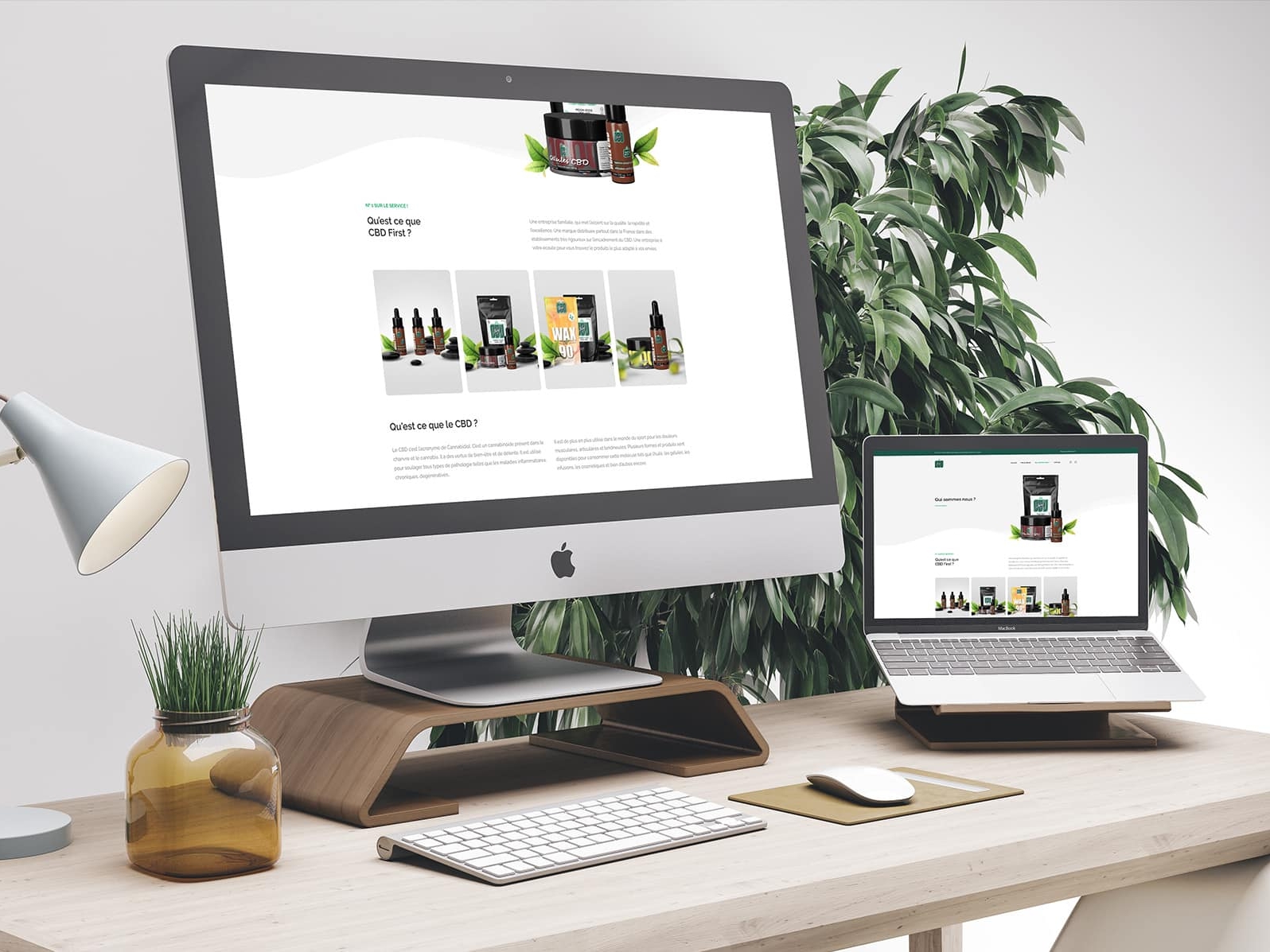 Création du site e-commerce CBD First