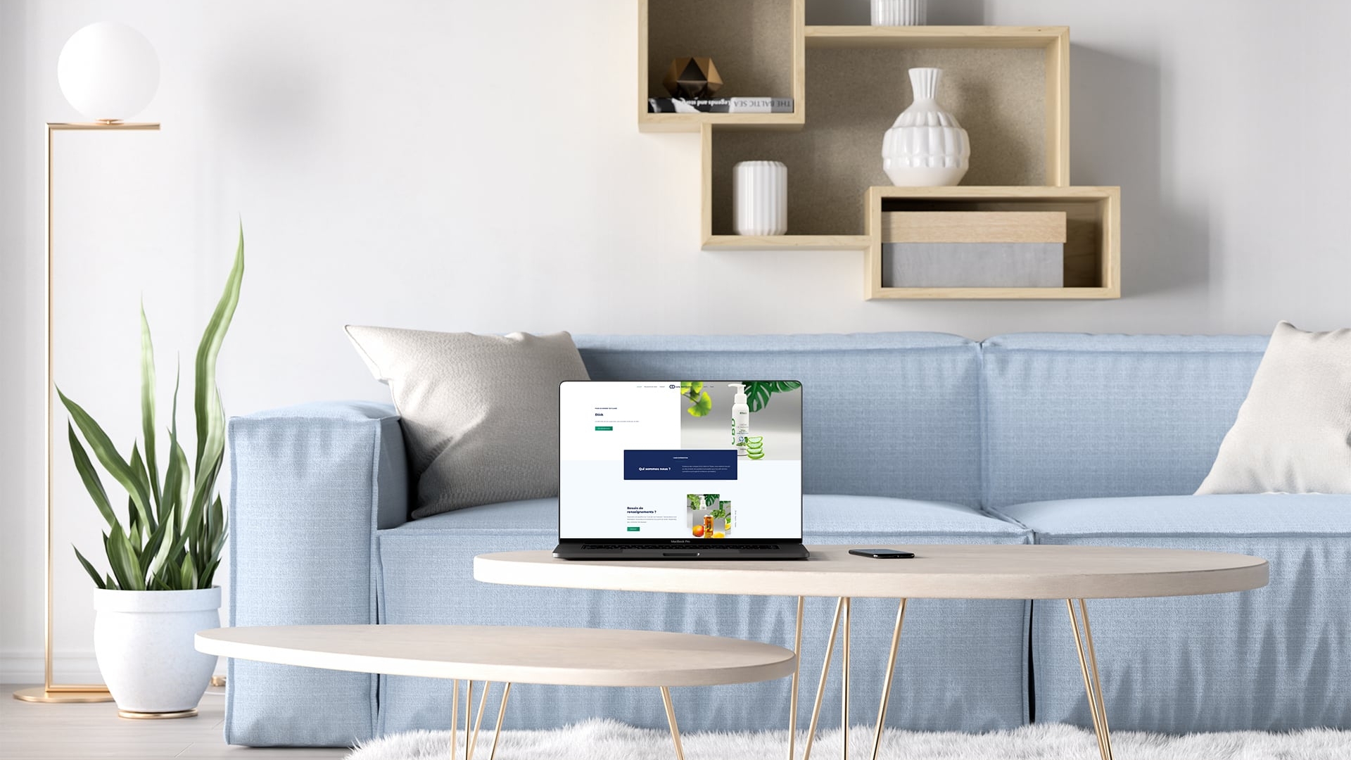 Création du site internet Cane Distribution