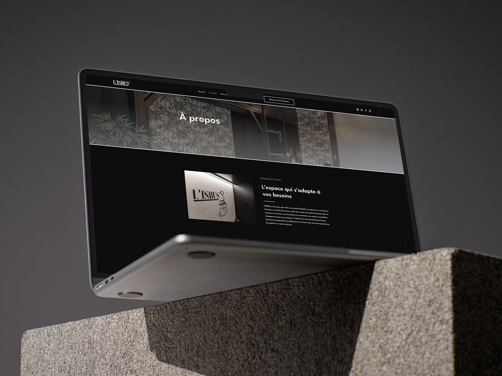 Création du site internet Espace L'Indus