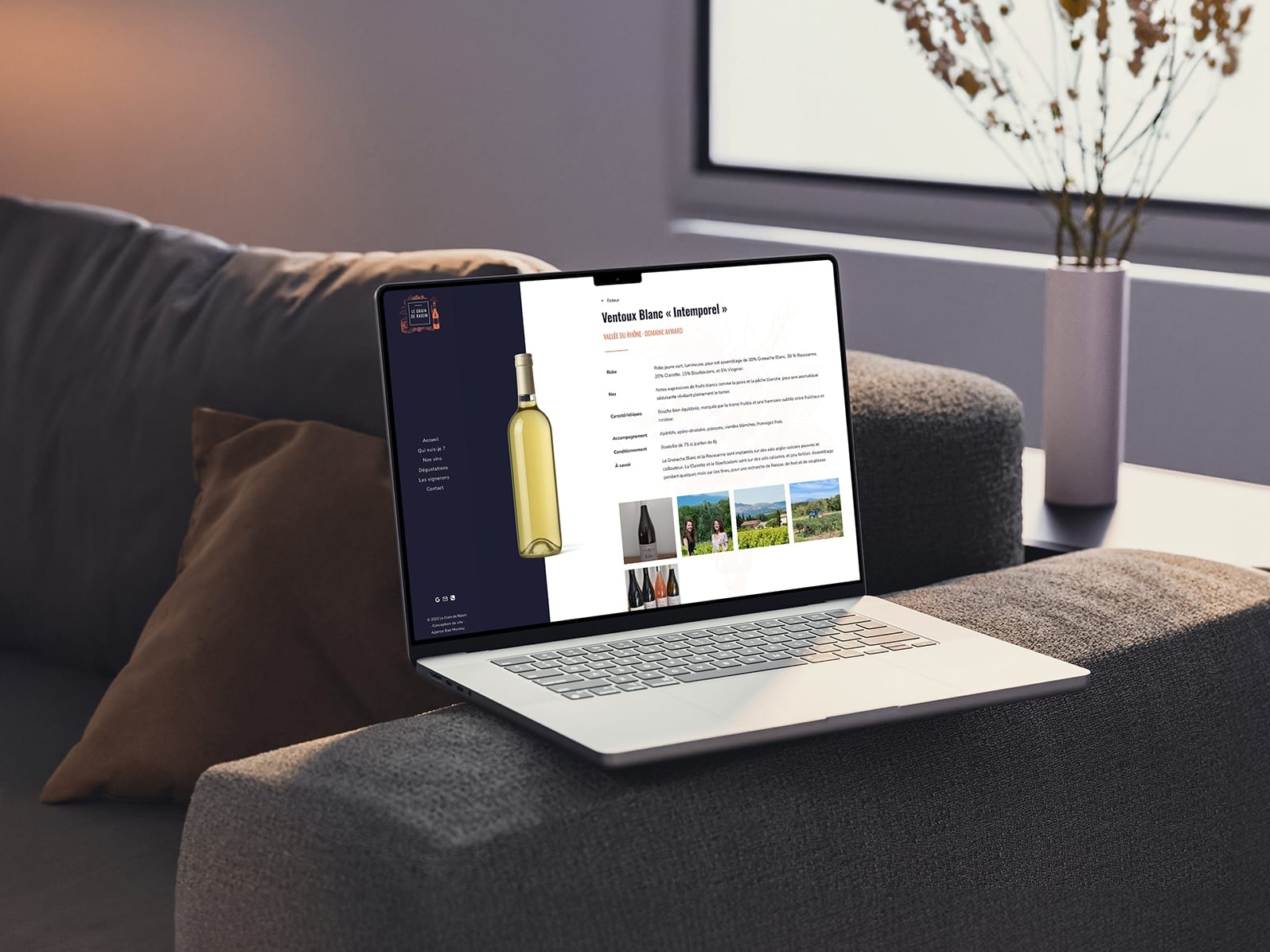 Conception du site web Le Grain de Raisin